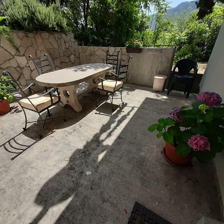 Studio Jeff 1 Apartment Kotor Exterior foto