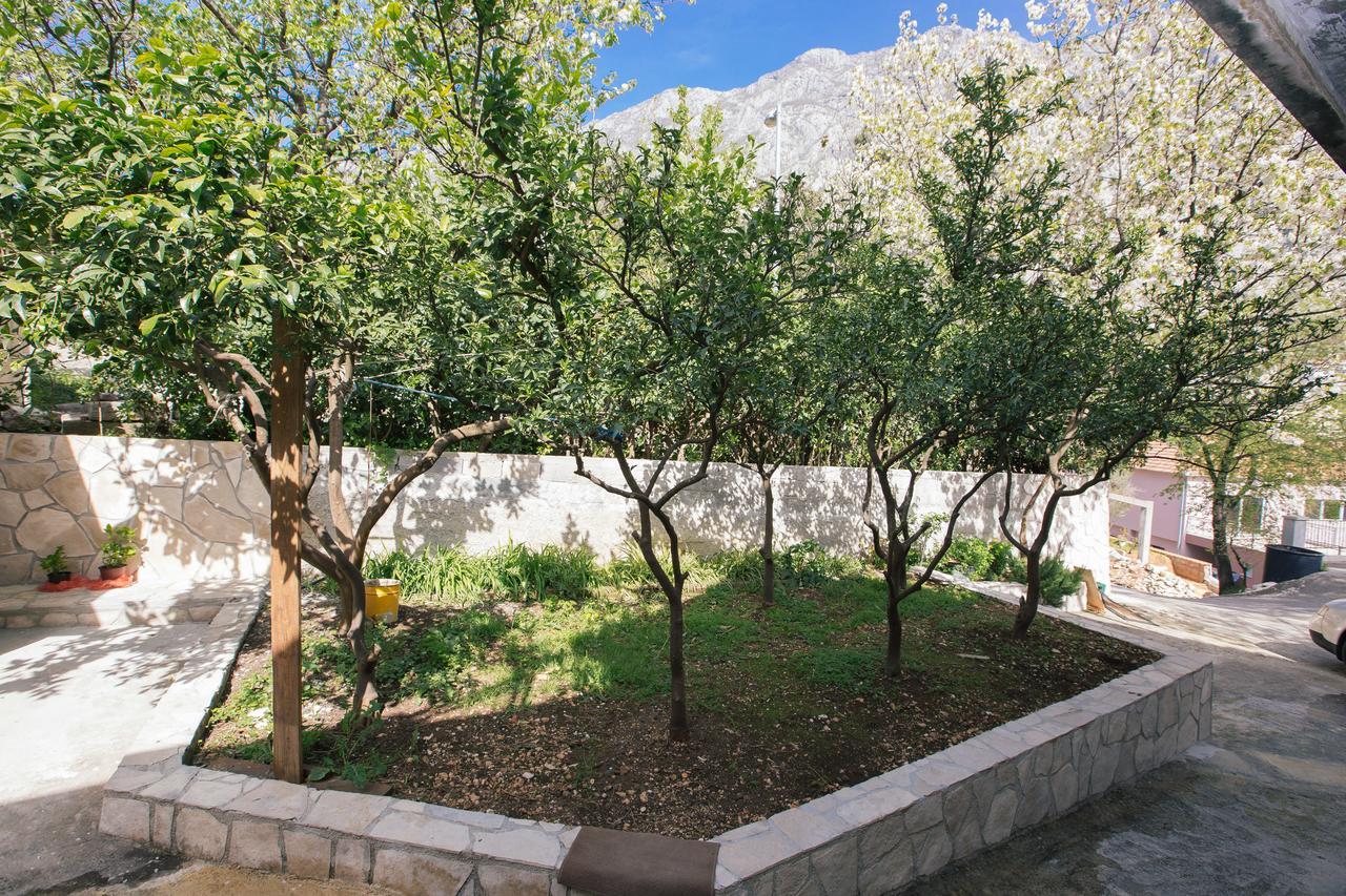 Studio Jeff 1 Apartment Kotor Exterior foto