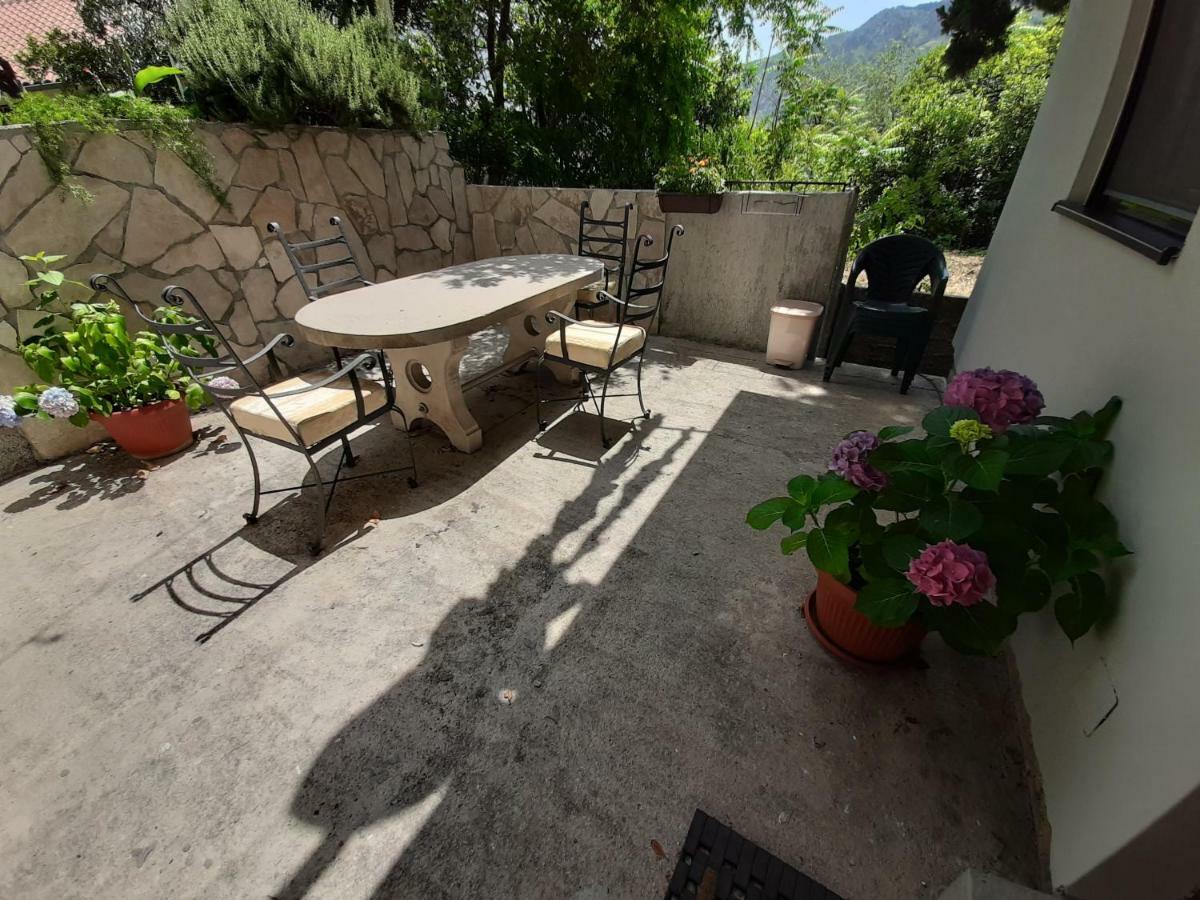 Studio Jeff 1 Apartment Kotor Exterior foto